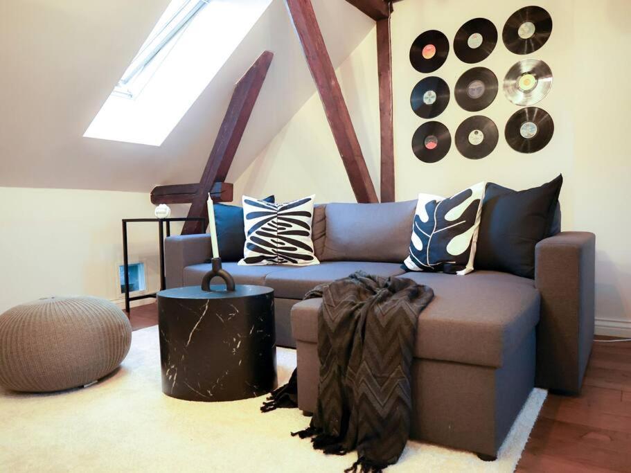 Charming And Spacious Apartment Oslo Zewnętrze zdjęcie