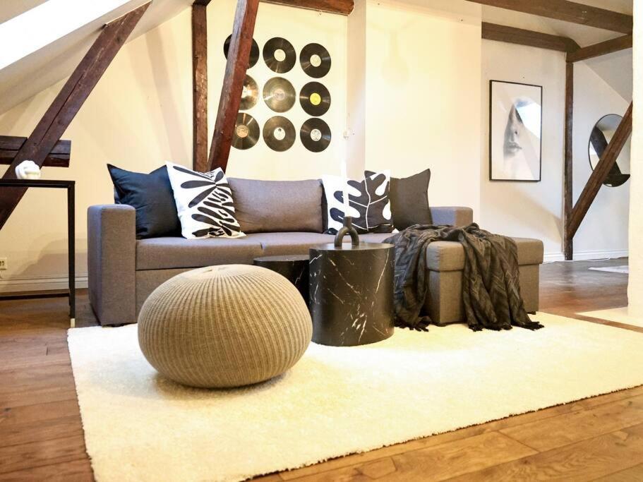 Charming And Spacious Apartment Oslo Zewnętrze zdjęcie